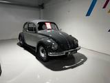 Volkswagen Käfer - Offers matching your search criteria