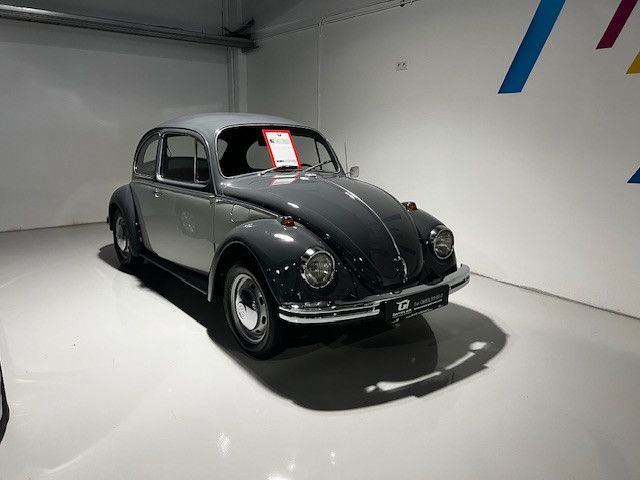 VW Käfer 