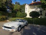 Jaguar XJS 4.0 Cabrio - Sammlerzustand - Jaguar aus 1995