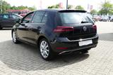 Volkswagen Golf VII 1.5 TSI IQ.DRIVE Navi ACC Totwinkel DAB - Volkswagen Golf mit Benzin-Antrieb: Kleinwagen, Automatik
