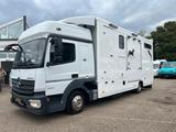 Mercedes-Benz Atego 823 *4.Pferde*Pferdetransporter - Mercedes-Benz Atego 823