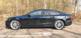 Audi A5 3.0 TDI quattro Sport Plus S-Line  - Audi A5: Line Plus