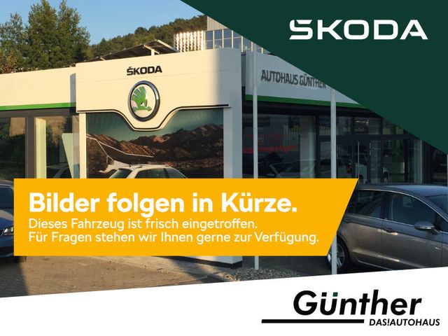 Skoda Fabia Selection 1,0TSI 70 kW +PARKEN+LICHT&SICHT