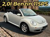 Volkswagen New Beetle 2.0 Freestyle Cabriolet - Volkswagen New Beetle Freestyle mit Benzin-Antrieb