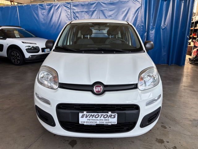 Fiat New Panda 1.2 benzina 69 CV OK NEOPATENTATI