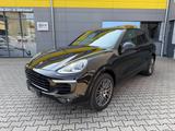 Porsche Cayenne Diesel Platinum Edition/SPORT CHRONO/PAN - Porsche Cayenne mit Diesel-Antrieb: Beheizbares Lenkrad