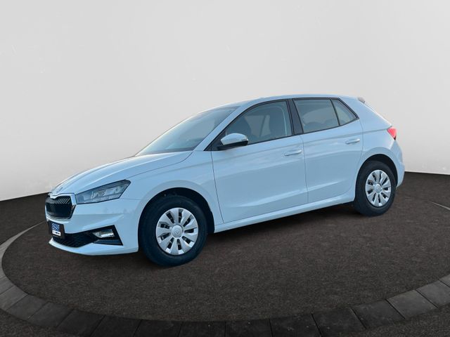 Skoda Fabia 1.0 MPI Selection inkl.WinterPaket,Berganf