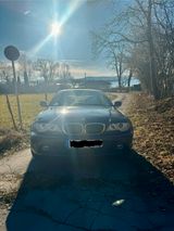 BMW 325Ci - Cabrio (E46) - Eleganz trifft auf Spaß  - BMW: Leder, E46