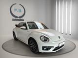 Volkswagen Beetle Cabriolet Sound BMT/Start-Stopp/TOP! - Volkswagen Beetle: Sound