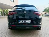 Alfa Romeo Stelvio 2.0 Turbo 16V 206kW B-Tech AT8-Q4 B-Tech - Alfa Romeo: Schiebedach