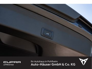 Cupra Terramar - 10