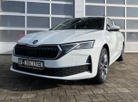 Skoda Octavia Combi 2.0 TDI DSG Selection AHK 5J GAR bei Autohaus Landmann & Maier OHG