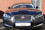Jaguar XF S 3.0 V6 Diesel Leder Bi-Xenon E.Dach - Jaguar mit Diesel-Antrieb: 3.0