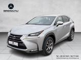 Lexus NX 300h 300 h E-Four  Executive Line - Lexus NX Executive
