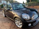 MINI Garagenwagen sehr gepflegt Mini Cabrio Highgate  - MINI Cooper Cabrio: Kleinwagen