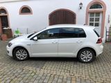 Volkswagen Golf 1.4 TSI DSG GTE GTE - Volkswagen Golf: GTE