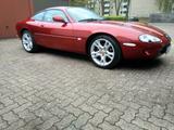 Jaguar XK8  X100 - Jaguar XK8 aus 1997