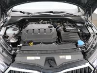 Skoda Octavia - Vorschau Bild 17