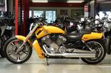 Harley-Davidson V-Rod Muscle 1250 VRSCF - Offers matching your search criteria