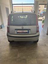 Fiat FIAT Panda 1.3 MJT 16V DPF Emotion - Fiat Panda Emotion mit Diesel-Antrieb