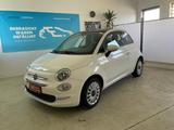 Fiat 500 - Fiat 500 Gebrauchtwagen