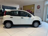 Fiat Panda Pandina City Paket PDC/RADIO - Fiat Panda in Chemnitz