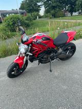 Ducati Monster 821 White Stripe - DUCATI MONSTER 821 STRIPE