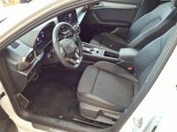 Cupra Leon - Vorschau Bild 8