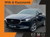 Mazda CX-30 2.0 AT Selection 18Z HUD Kamera - blaue Mazda CX-30