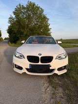 BMW H&K, Kamera, Memory, AppleCarplay, Scheckheft - BMW 220 von privat