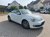Volkswagen Beetle Cabriolet Allstar Navi/PDC/Windschott - Volkswagen Beetle in Essen