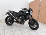 Husqvarna Svartpilen 801 / Remus / Quickshifter / LED - Husqvarna Svartpilen 801 L
