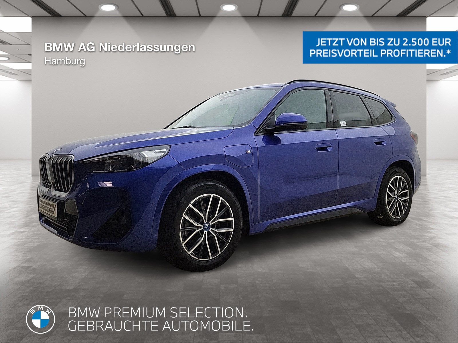 BMW X1 xDrive30e M Sport AHK Driv.Assist.Prof LED