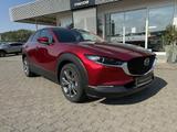 Mazda CX-30 X 186PS SELECTION DES-P E-HECKKLAPPE MATRI - Mazda CX-30 aus 2023