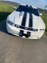 Ford Mustang GT - Ford Mustang Gebrauchtwagen in Köln