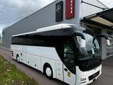 MAN RHC 404 Lions Coach