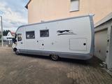Laika Rexosline 720 - Angebote