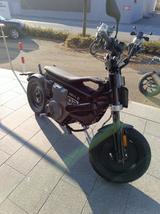 BMW CE 02 A1 Aktionsfinanzierung 0,01% mit GAP  - NEU ELEKTRO