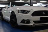 Ford Mustang 5.0 Ti-VCT V8 GT Auto GT - Ford Mustang Gebrauchtwagen in Dortmund