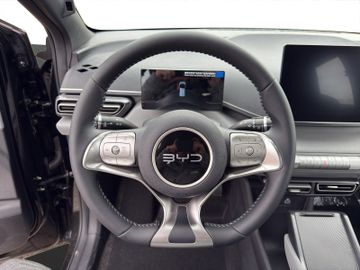 BYD Dolphin Surf 30kWh Active Carplay*Navi*DAB*