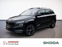 Skoda Karoq - Vorschau Bild 1