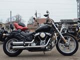 Harley-Davidson FXST Softail Standard - HARLEY-DAVIDSON SOFTAIL STANDARD FXST