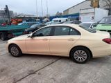 Mercedes-Benz E 200 E -Klasse Lim. E 200 d 01728666828 - Mercedes-Benz E 200 mit Diesel-Antrieb: Taxi, Limousine