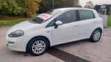 Fiat Punto 1.2 8V 5 porte Lounge - Neopatentati - gebrauchte Fiat Punto aus dem Jahr 2013