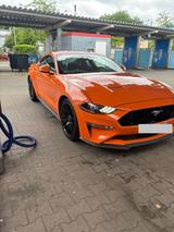 Ford Mustang 5.0 Ti-VCT V8 GT Auto GT  - Ford Mustang Gebrauchtwagen in Wuppertal