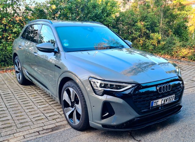 Audi Q8 e-tron quattro, Lufe, Matrix, dyn.B.,8fach