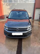 Volkswagen Caddy 2,0TDI 110kW BMT DSG Edition 35 5-S Ed... - VW Caddy von privat