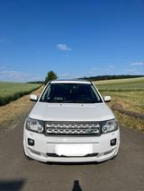 Land Rover Freelander 2 - gebrauchte Land Rover Freelander aus dem Jahr 2011