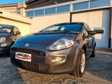 Fiat Punto 1.2 8V 5 porte Street - Fiat Punto: Street