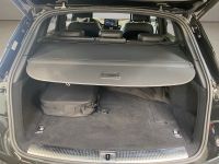 Audi Q5 - Vorschau Bild 17